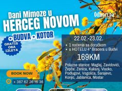 𝗗𝗮𝗻𝗶 𝗠𝗶𝗺𝗼𝘇𝗲 𝘂 𝗛𝗲𝗿𝗰𝗲𝗴 𝗡𝗼𝘃𝗼𝗺