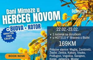 𝗗𝗮𝗻𝗶 𝗠𝗶𝗺𝗼𝘇𝗲 𝘂 𝗛𝗲𝗿𝗰𝗲𝗴 𝗡𝗼𝘃𝗼𝗺